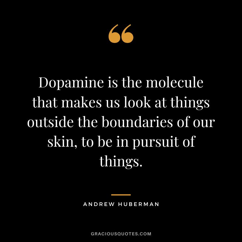 Dopamine is the molecule that makes us look at things outside the boundaries of our skin, to be in pursuit of things.