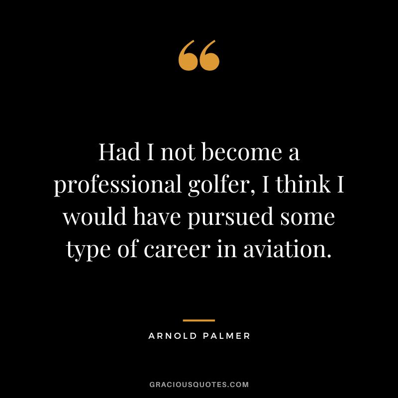 Had I not become a professional golfer, I think I would have pursued some type of career in aviation.
