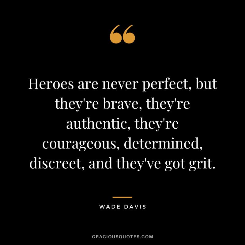 Heroes are never perfect, but they're brave, they're authentic, they're courageous, determined, discreet, and they've got grit. - Wade Davis