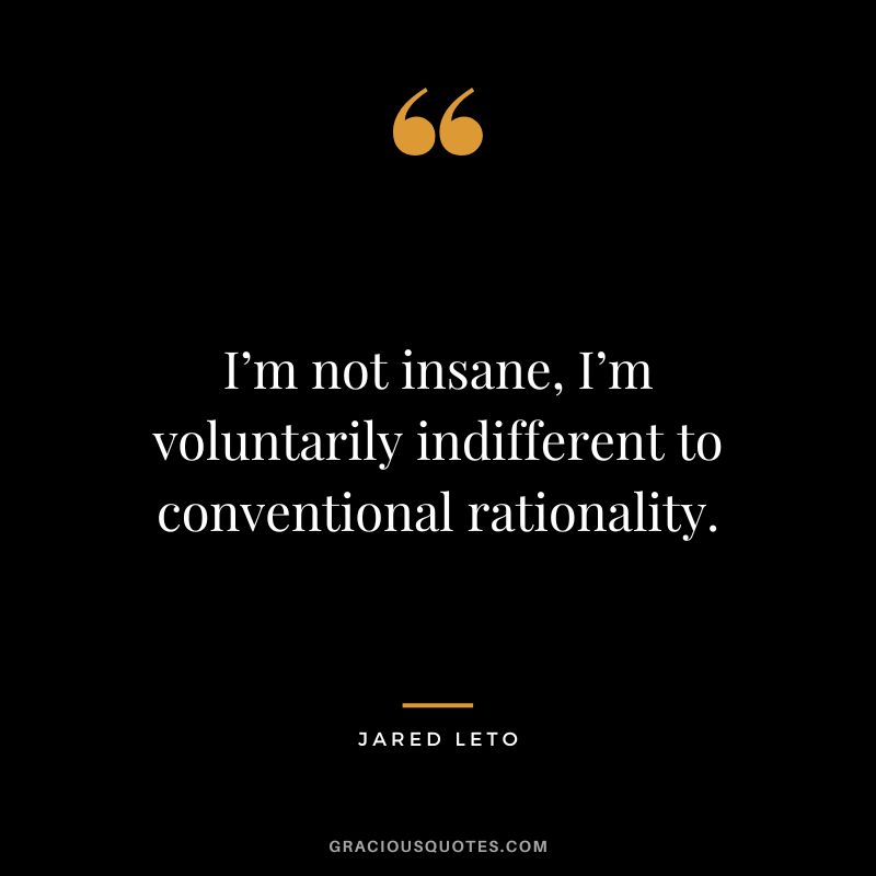 I’m not insane, I’m voluntarily indifferent to conventional rationality.