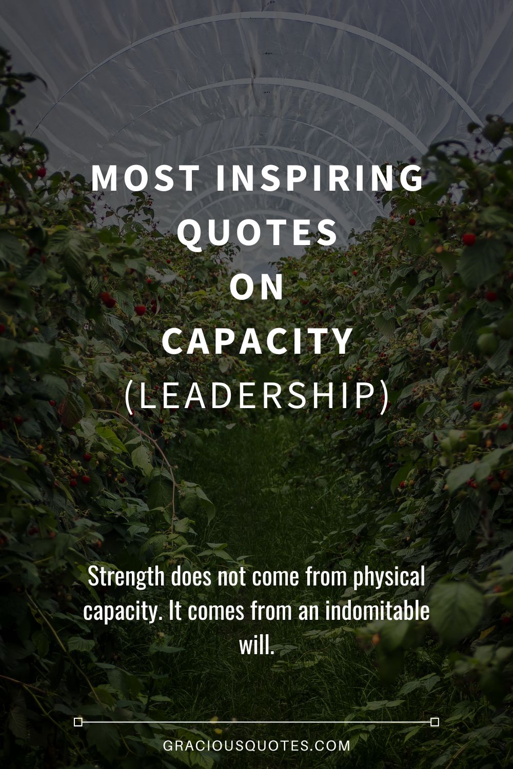 Most Inspiring Quotes on Capacity (LEADERSHIP) - Gracious Quotes