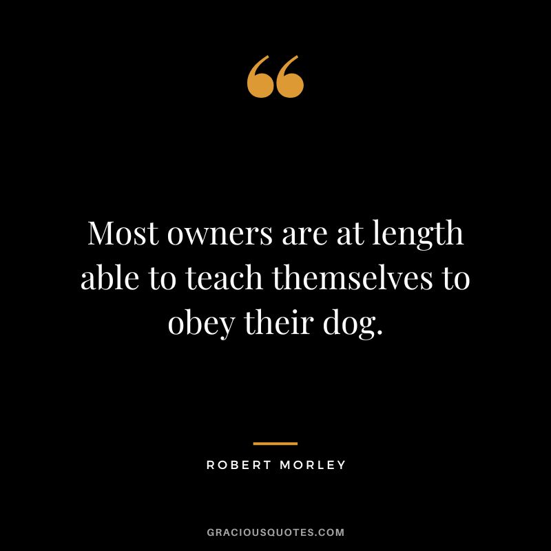 Most owners are at length able to teach themselves to obey their dog.