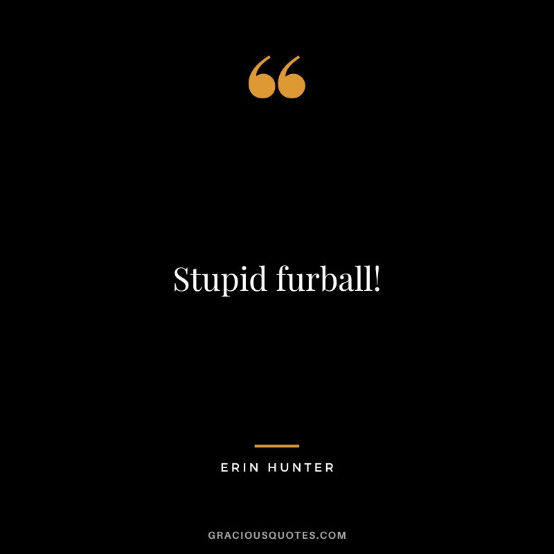 Stupid furball!