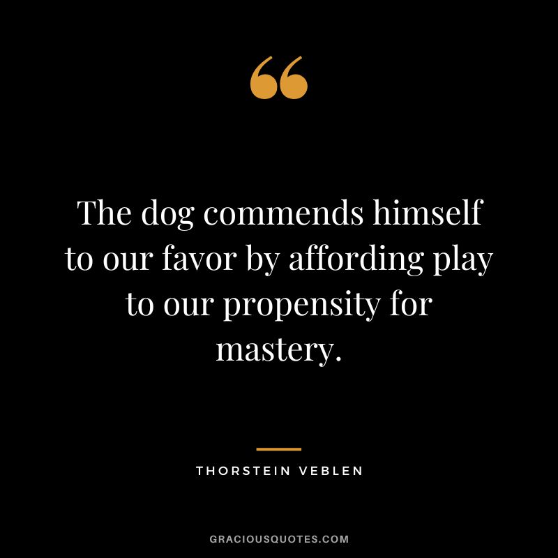 The dog commends himself to our favor by affording play to our propensity for mastery. - Thorstein Veblen