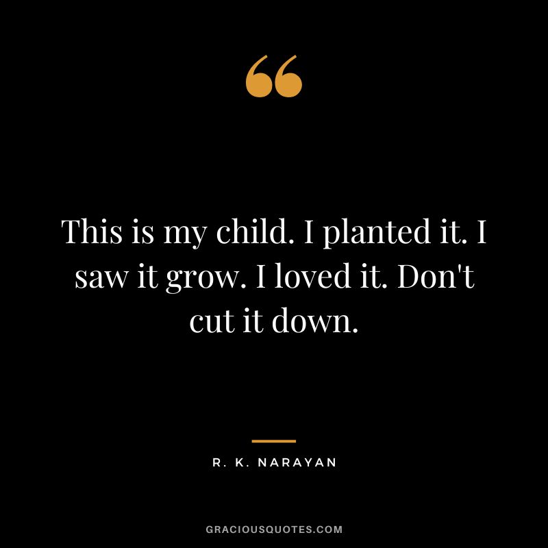 This is my child. I planted it. I saw it grow. I loved it. Don't cut it down.