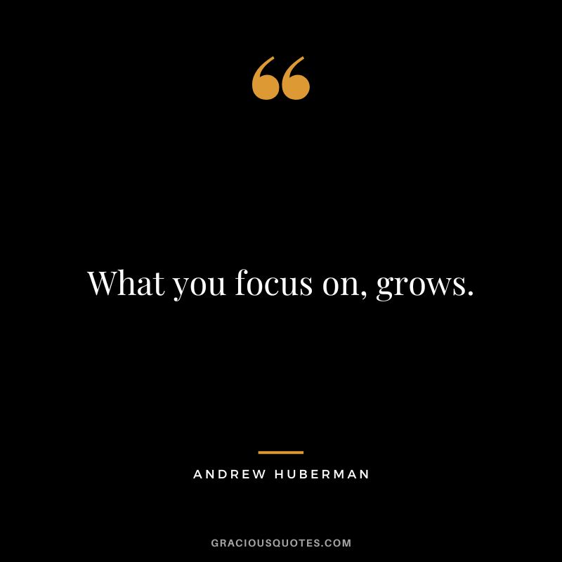 What you focus on, grows.