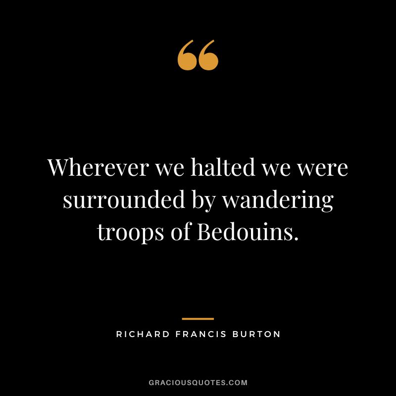 Wherever we halted we were surrounded by wandering troops of Bedouins.
