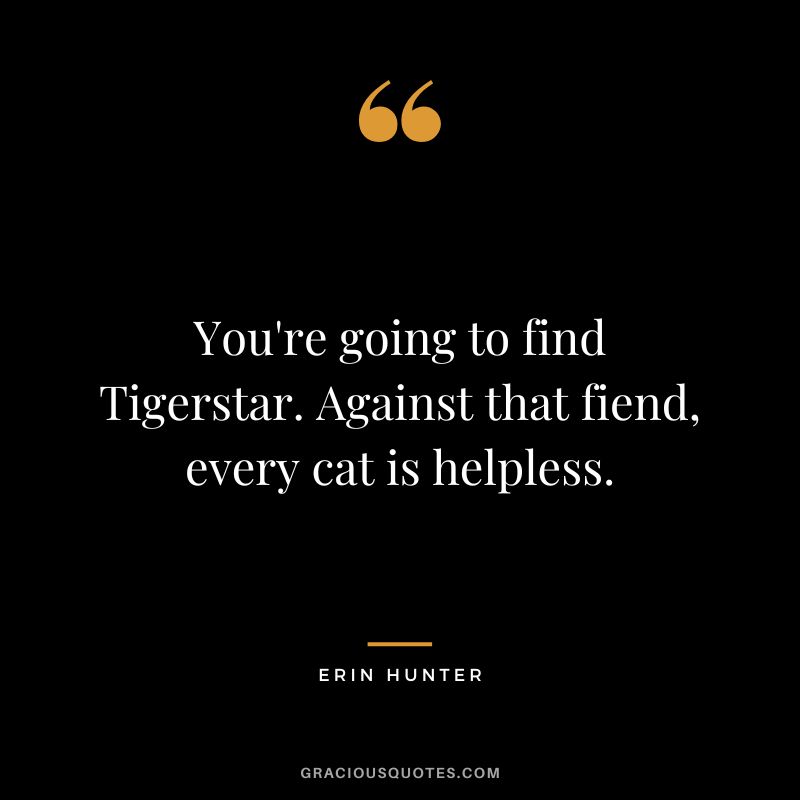 You're going to find Tigerstar. Against that fiend, every cat is helpless.