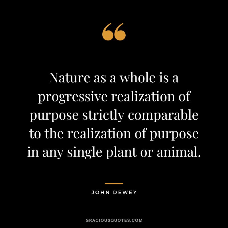 Nature as a whole is a progressive realization of purpose strictly comparable to the realization of purpose in any single plant or animal.