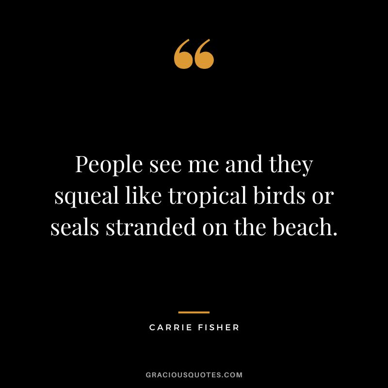 People see me and they squeal like tropical birds or seals stranded on the beach.