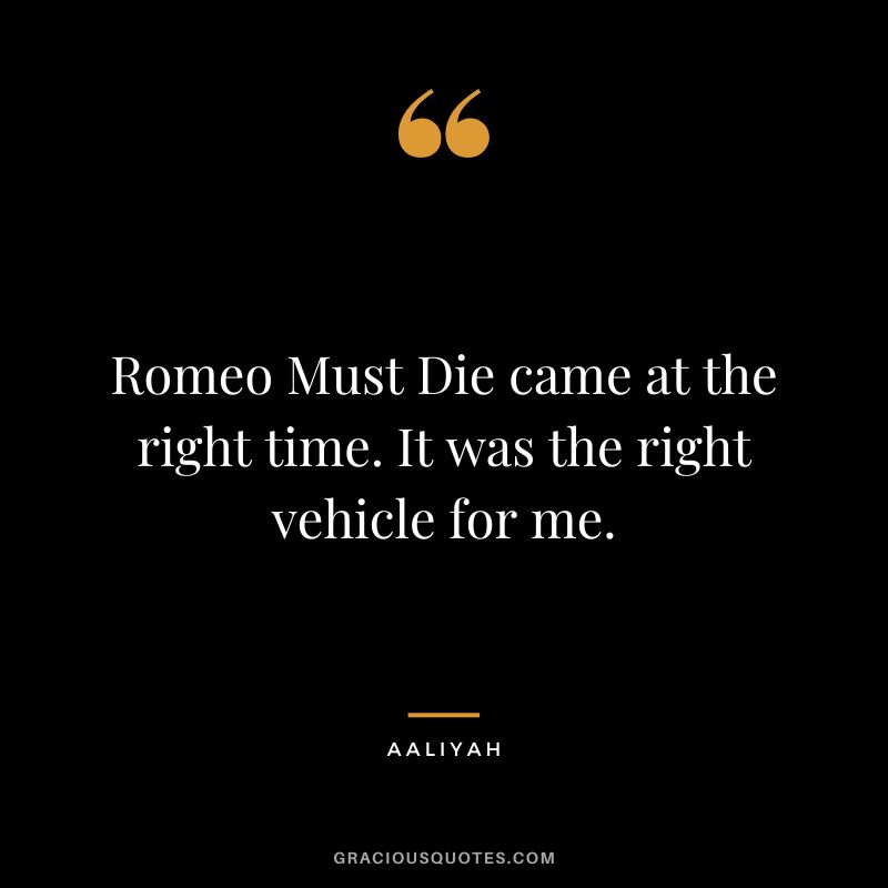 Romeo Must Die came at the right time. It was the right vehicle for me.