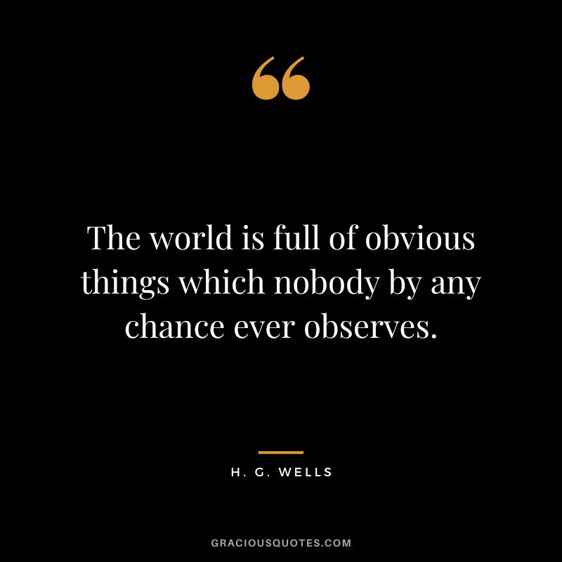 The world is full of obvious things which nobody by any chance ever observes.