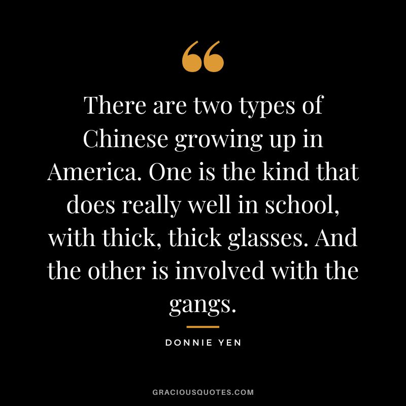 There are two types of Chinese growing up in America. One is the kind that does really well in school, with thick, thick glasses. And the other is involved with the gangs.