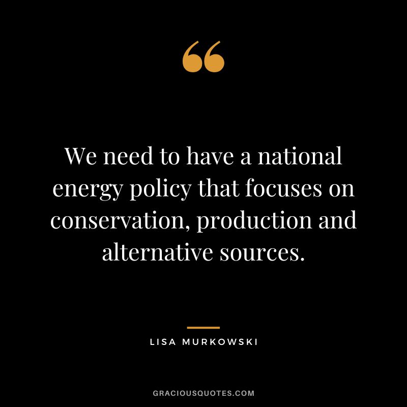 We need to have a national energy policy that focuses on conservation, production and alternative sources.