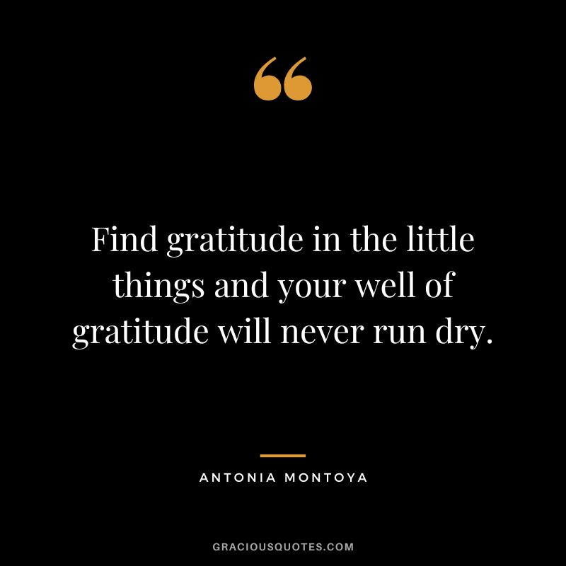 Find gratitude in the little things and your well of gratitude will never run dry. ― Antonia Montoya