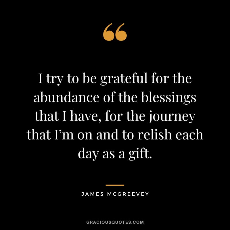 I try to be grateful for the abundance of the blessings that I have, for the journey that I’m on and to relish each day as a gift. - James McGreevey