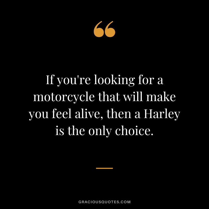 If you're looking for a motorcycle that will make you feel alive, then a Harley is the only choice.