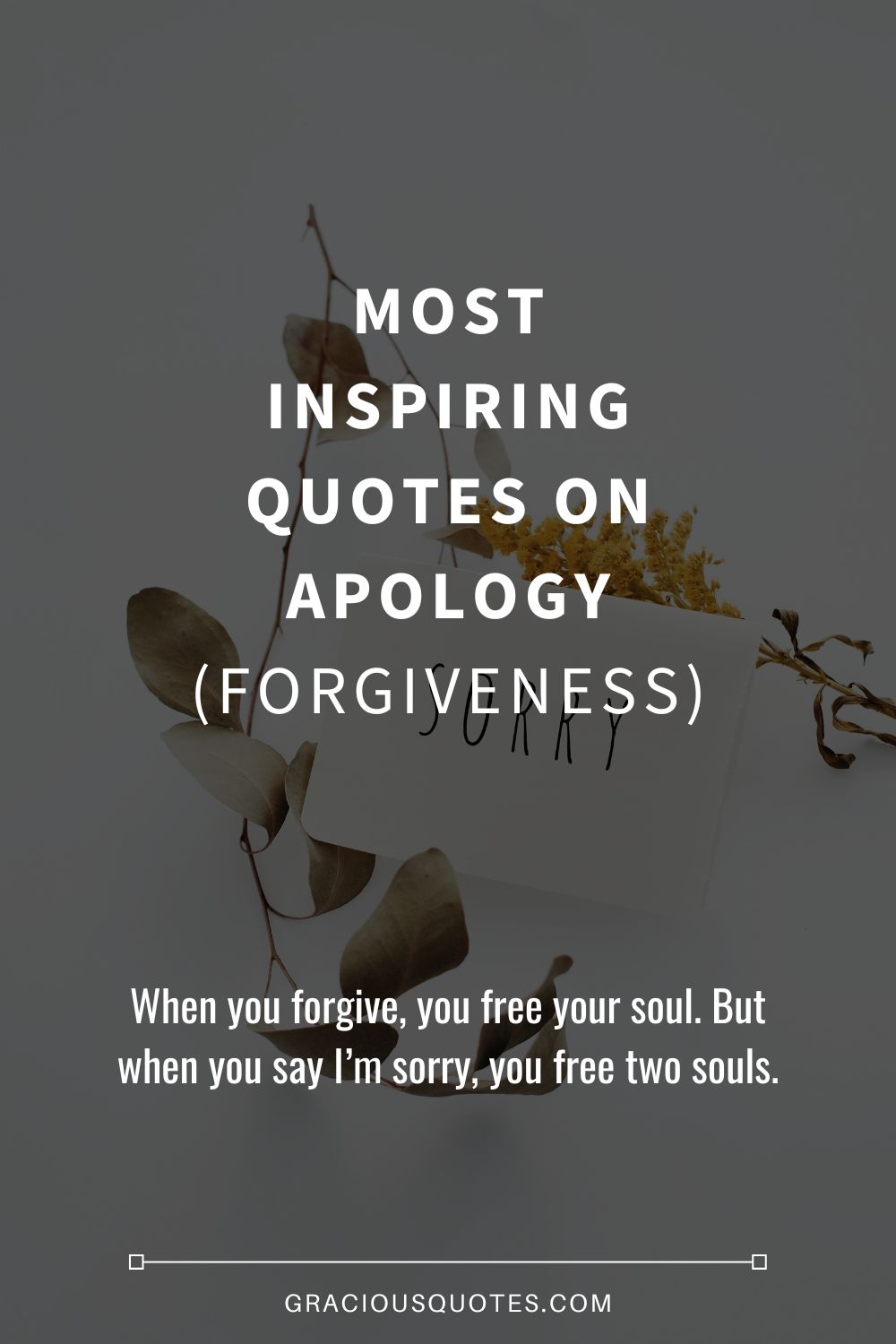 Most Inspiring Quotes on Apology (FORGIVENESS) - Gracious Quotes