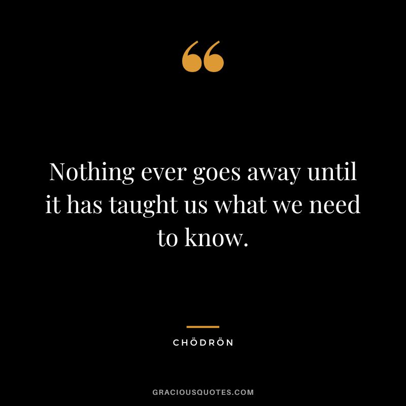 Nothing ever goes away until it has taught us what we need to know. - Chödrön