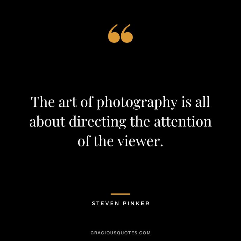The art of photography is all about directing the attention of the viewer. - Steven Pinker