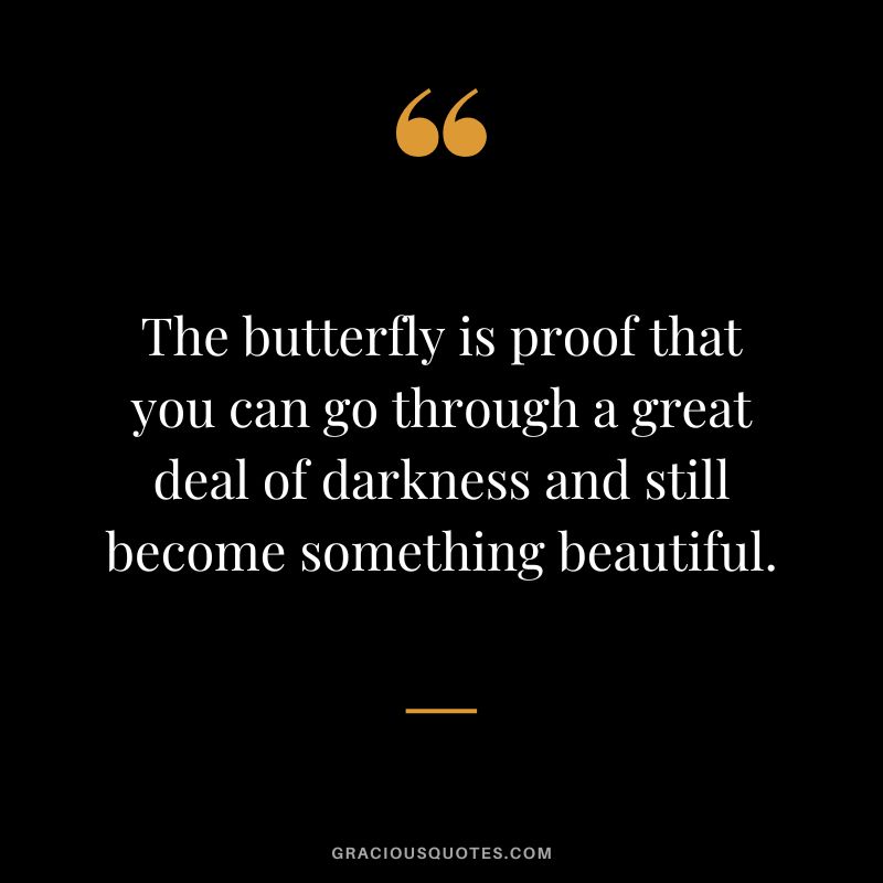 The butterfly is proof that you can go through a great deal of darkness and still become something beautiful.