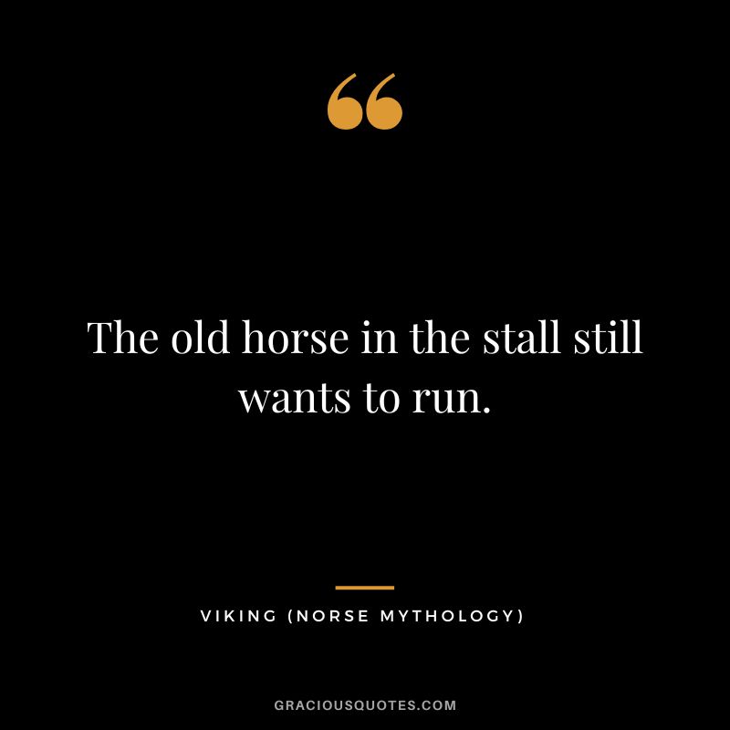 The old horse in the stall still wants to run.