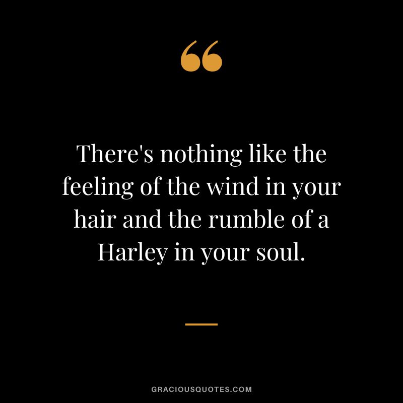 There's nothing like the feeling of the wind in your hair and the rumble of a Harley in your soul.