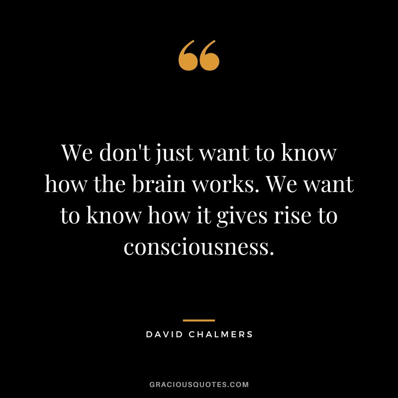 We don't just want to know how the brain works. We want to know how it gives rise to consciousness.