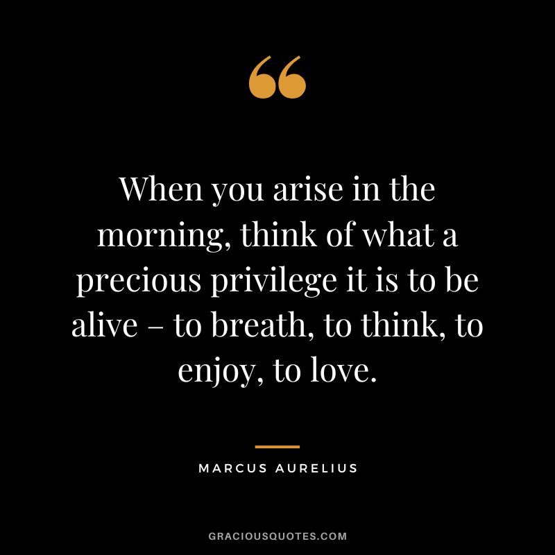 When you arise in the morning, think of what a precious privilege it is to be alive – to breath, to think, to enjoy, to love. - Marcus Aurelius