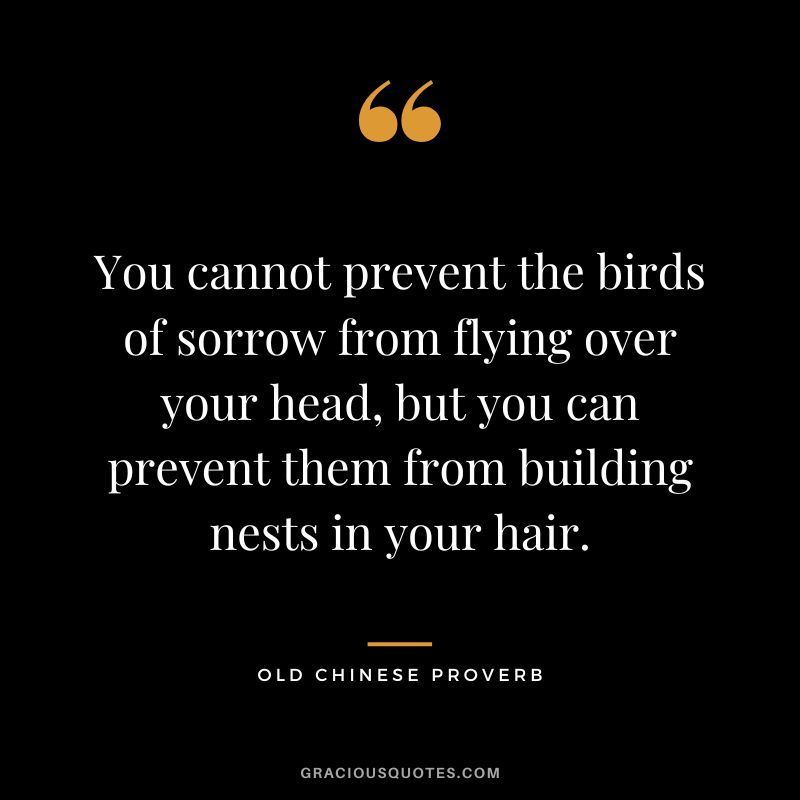 You cannot prevent the birds of sorrow from flying over your head, but you can prevent them from building nests in your hair. - Old Chinese Proverb