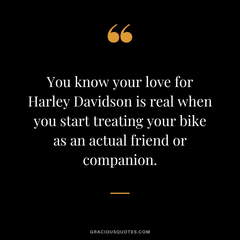 You know your love for Harley Davidson is real when you start treating your bike as an actual friend or companion.