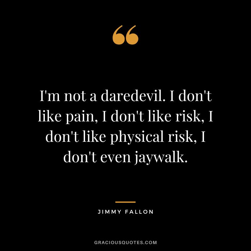 I'm not a daredevil. I don't like pain, I don't like risk, I don't like physical risk, I don't even jaywalk.