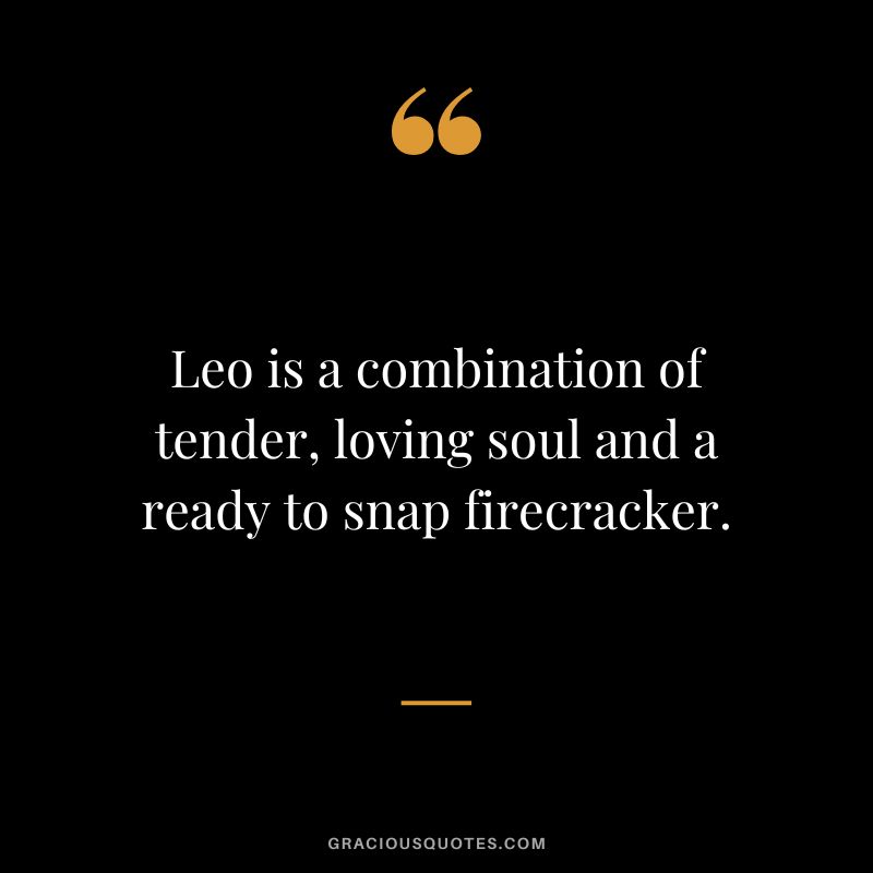 Leo is a combination of tender, loving soul and a ready to snap firecracker.