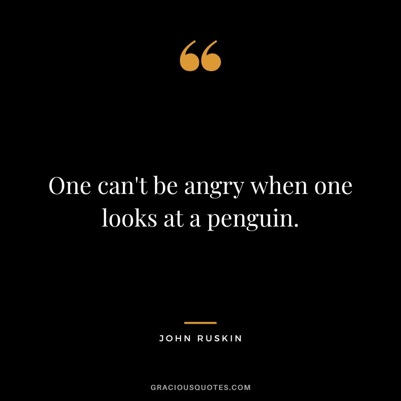 One can't be angry when one looks at a penguin.