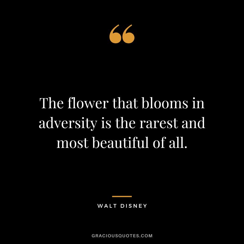 The flower that blooms in adversity is the rarest and most beautiful of all. - Walt Disney