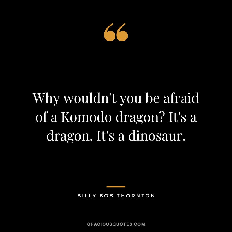 Why wouldn't you be afraid of a Komodo dragon It's a dragon. It's a dinosaur.