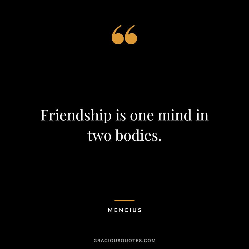 Friendship is one mind in two bodies.