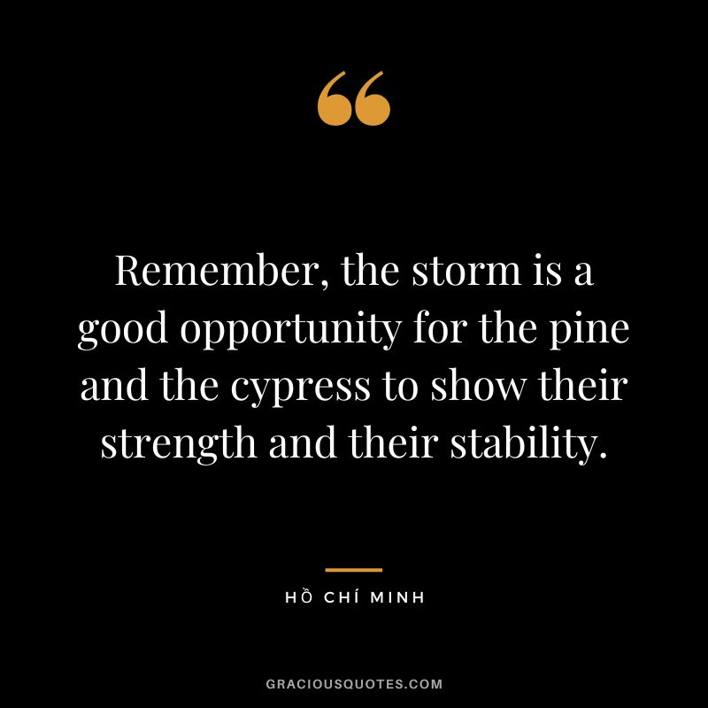 Remember, the storm is a good opportunity for the pine and the cypress to show their strength and their stability.