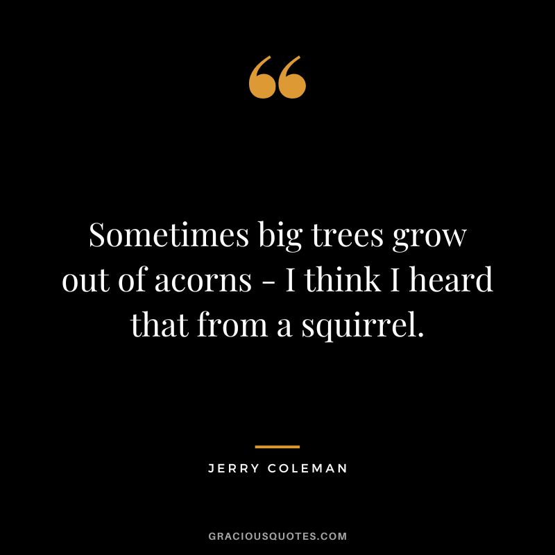 Sometimes big trees grow out of acorns - I think I heard that from a squirrel.