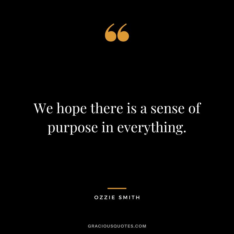 We hope there is a sense of purpose in everything.