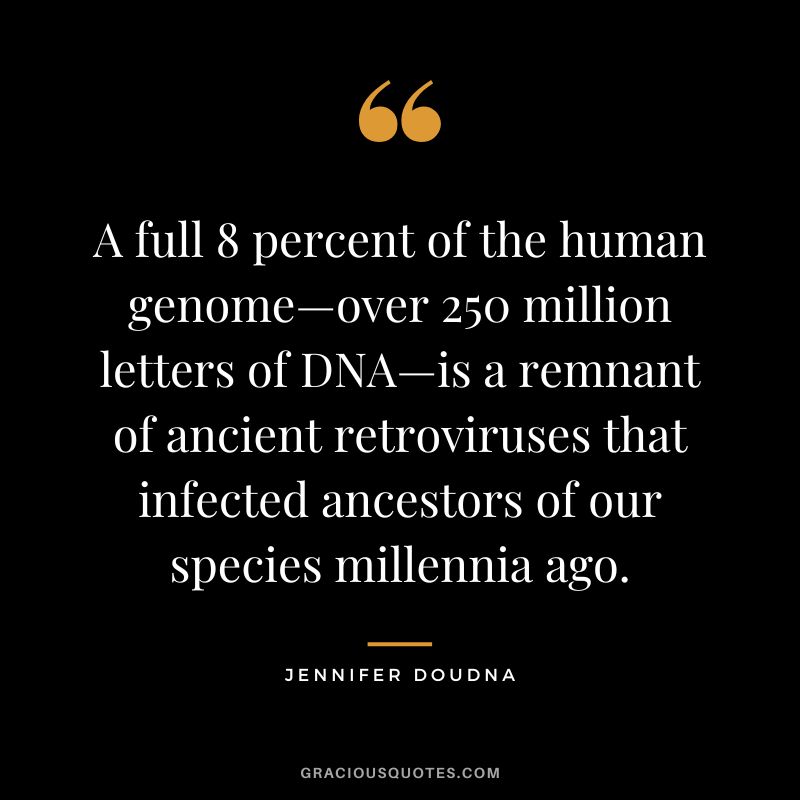 A full 8 percent of the human genome—over 250 million letters of DNA—is a remnant of ancient retroviruses that infected ancestors of our species millennia ago.