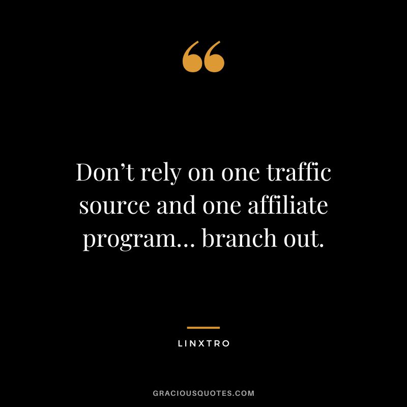 Don’t rely on one traffic source and one affiliate program… branch out. ― Linxtro