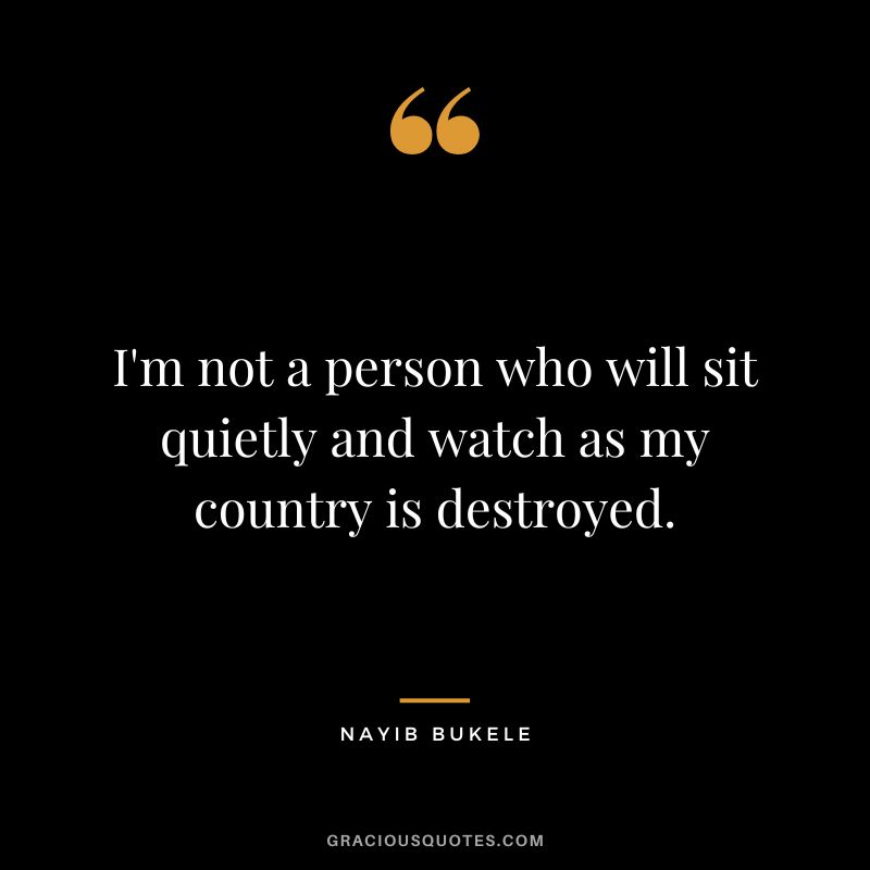 I'm not a person who will sit quietly and watch as my country is destroyed.