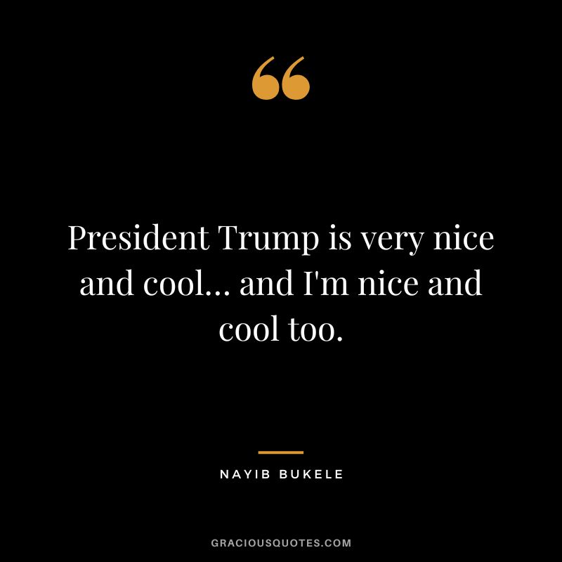 President Trump is very nice and cool… and I'm nice and cool too.