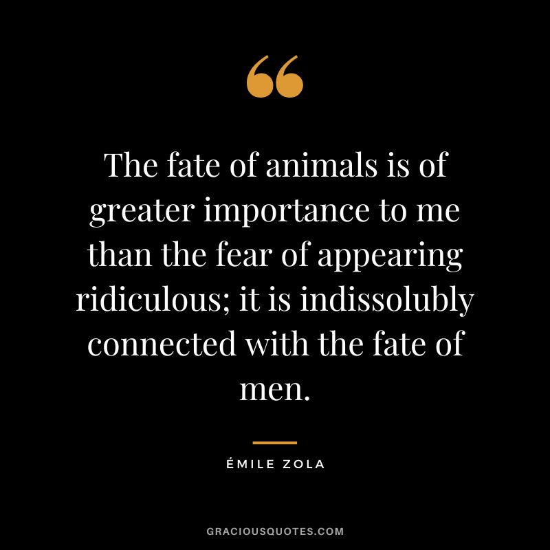 The fate of animals is of greater importance to me than the fear of appearing ridiculous; it is indissolubly connected with the fate of men.