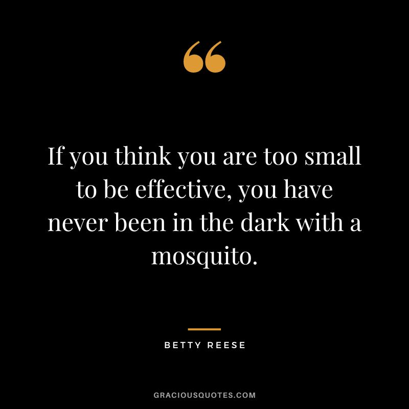 If you think you are too small to be effective, you have never been in the dark with a mosquito. – Betty Reese